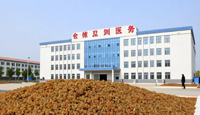 提升病虫害防治效率的种植管理实践